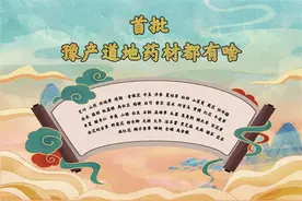河南道地药材家底有多厚图片