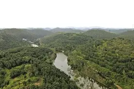 小小化橘红，蹚出“点绿成金”富民路图片