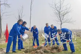 守护碧水蓝天 中石化襄阳公司开展义务植树活动图片