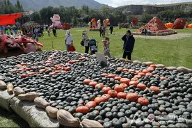 乌市水磨沟区举办首届南瓜艺术节图片