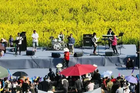 菜花田里听音乐 共赴浪漫春之约图片