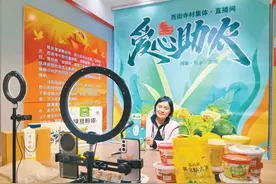 为农特产品插上“云翅膀”图片