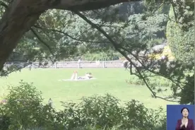 在公园撩衣露背，竟是为了……最近的养生新“顶流”真的靠谱吗？图片