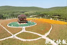 花间看江苏！秋日限定浪漫在这里图片