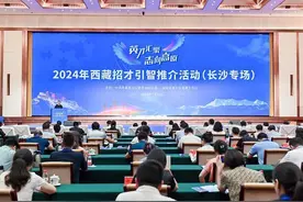 发布465个人才引进需求！2024年西藏招才引智推介活动在湘举行图片