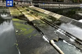 拦河建坝、私设排污口，贵州铜仁生态破坏问题突出图片