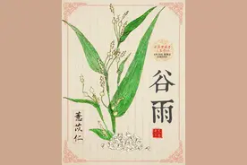 谷雨｜春季湿气重？试试祛湿界的“网红”，这样吃效果才好图片
