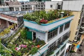 太浪漫了！南宁阿姨花3年多打造绝美屋顶花园图片