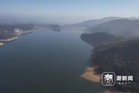 现场见证！“国宝”中华秋沙鸭连续9年来安吉越冬栖息图片