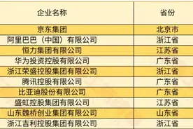 民企500强榜单发布，蚂蚁集团研发投入211.9亿元位列全国第八图片