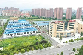 浠水蛋鸡业9年减法何以做出1.8倍产值增量？图片