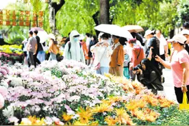 点赞昆明！“好山好水好风光皆在春城”图片