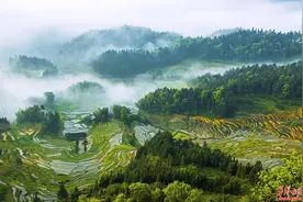 跟着节气游湖南｜谷雨时节，一起打卡湖南绝美梯田图片