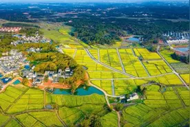 十里芳菲“花神节”，共赴一场惊鸿宴图片