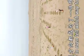 这位95后把“家”搬到沙漠里，种了四千亩梭梭树！图片