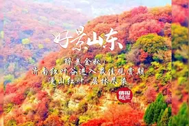 10月17日最佳情报|首批越冬天鹅来了，漫山红叶醉游人！恭喜图片