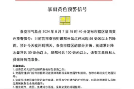 泰安发布暴雨黄色预警 预计局部地区降水量可达100毫米以上图片
