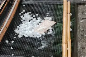 刚刚下冰雹了！福建发布强对流预警，即将迎来大降温图片