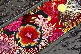 （外代二线）比利时布鲁塞尔举行“鲜花地毯”节(2)图片