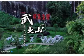 坐标南平！全国首届健身气功个人公开赛即将开赛图片