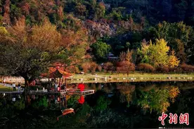 广西桂林五彩初冬美如画图片