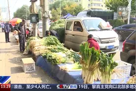 黑龙江入冬仪式拉满了 秋菜“老三样”您囤了吗？图片