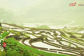 来自谷雨的信丨春耕正当时，向明亮的日子进发！图片