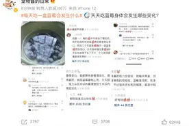 每天吃一盒蓝莓会发生什么？皮肤真的会变白？视力真的会变好？图片