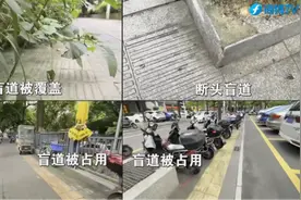这个法规落地！你我都有福了图片
