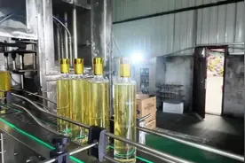 自贡荣县：做大做强油茶产业 高质量建设“天府森林粮库”图片