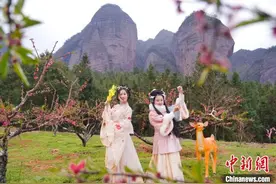 十里桃林醉春光 江西龙南武当桃花节开幕图片