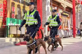 春节期间榆林社会大局稳定治安秩序良好图片