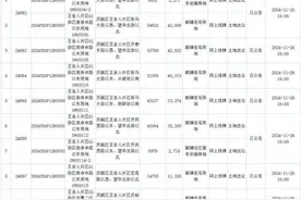 今年以来最大规模供地！济南重要片区，又有大动作图片