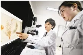 劳模风采·北京市劳模 | 刘颖：坚守中药品质，守护百姓用药安全图片