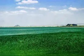 黄河文化 | 群山尾岱东走海，追溯鹊华山水之美图片