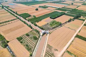 东雷抽黄灌区灌溉农田逾44万亩次图片
