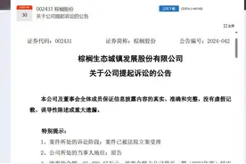 涉合同纠纷欠下2.65亿元？遂宁天泰旅投被上市公司棕榈股份起诉图片