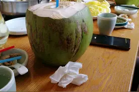 南国那些高大的椰子树，有一种你想象不到的勤奋与厚道图片
