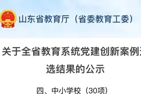 省级荣誉！岳峰小学入选山东省教育系统党建创新案例名单图片