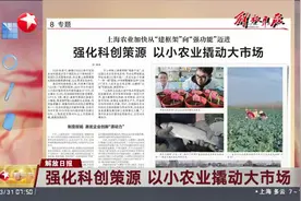 强化科创策源 以小农业撬动大市场视频封面