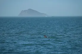 环境部：渤海综合治理为全球内海生态环境治理提供新方案图片