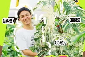 年售绿植两千万元！里水“植男”点缀千家万户庭院丨里享生活③图片