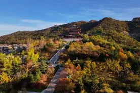 果然视频 | 碧云天，黄叶地，五彩斑斓看威海高区图片