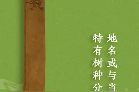 国宝画重点丨从这里，品“牍”两千多年前的“人与自然”图片