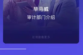 普华永道连丢30余单损失惨重，安永、毕马威、德勤“抢单”又“抢人”图片