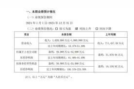 预计营收重回百亿！三只松鼠2024年净利润同比预增81.99%—91.09%图片