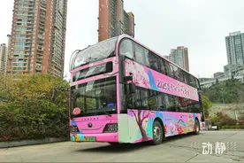 坐着公交去赏花！贵阳公交春日赏花漫游乘车指南来啦→图片