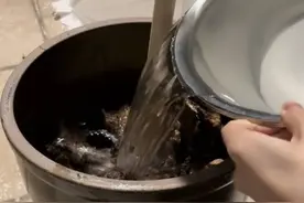 网购酱块“打耙”，四川网友热衷自制东北大酱！专家提醒：慎防黄曲霉素图片