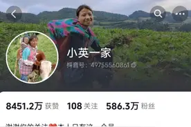 网红小英承认曾送养女孩，官方回应图片
