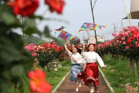 五一不忙 去趟衡阳⑤丨金甲玫瑰园浪漫花海等你来打卡图片
